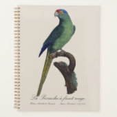 Oranjevoorhoofdkoningsparkiet, Eupsittula Canicula Planner (Voorkant)