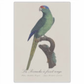 Oranjevoorhoofdkoningsparkiet, Eupsittula Canicula Sticker (Voorkant)