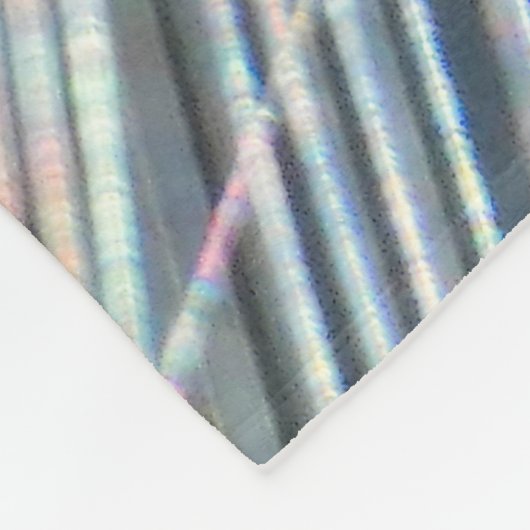 Orb Spider on Web  Fleece Deken (Hoek)