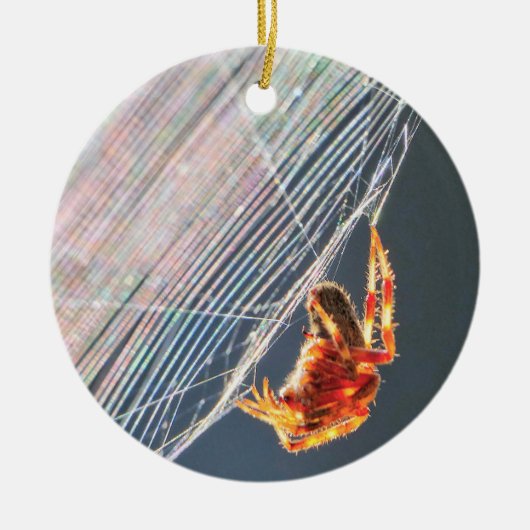 Orb Spider on Web  Keramisch Ornament (Voorkant)