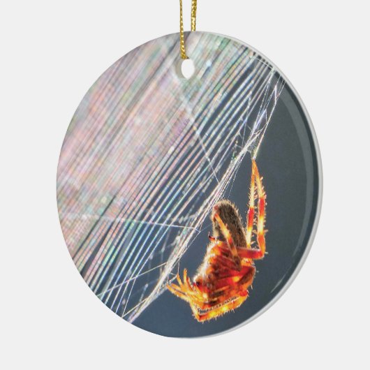 Orb Spider on Web  Keramisch Ornament (Links)
