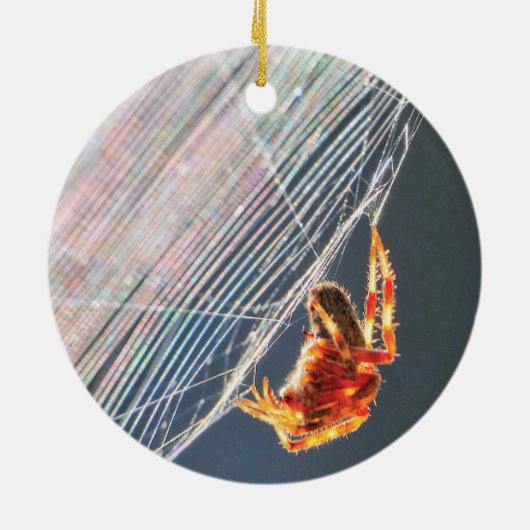 Orb Spider on Web  Keramisch Ornament (Achterkant)