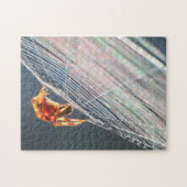 Orb Spider on Web  Legpuzzel (Horizontaal)