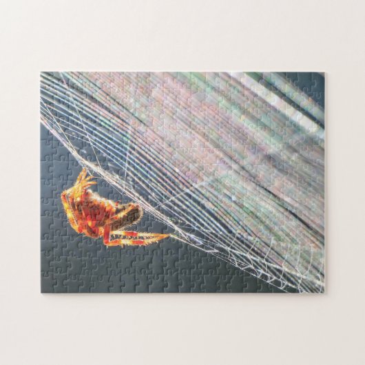 Orb Spider on Web  Legpuzzel (Horizontaal)