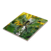 Orb Spider op internet Tegeltje (Zijkant)