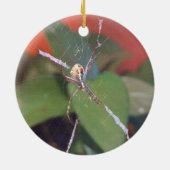 Orb Spider Ornament (Achterkant)