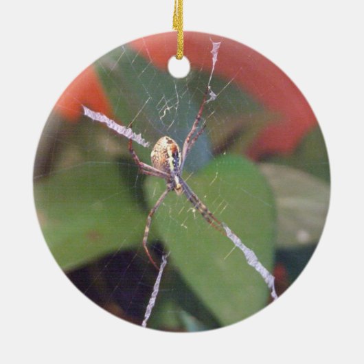 Orb Spider Ornament (Achterkant)