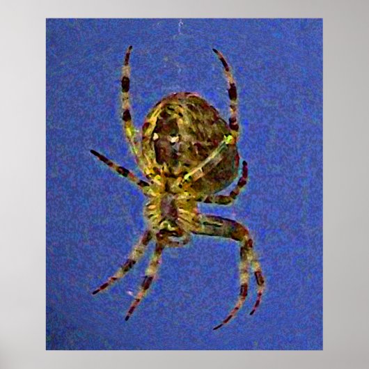 Orb Spider Poster (Voorkant)