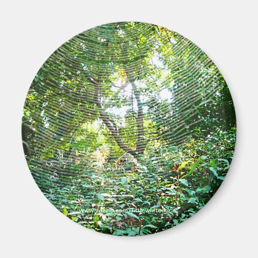 Orb Spider Web - Magneet (Voorkant)