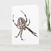 Orb Spin Kaart (Voorkant)