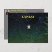 Orb Weaver bij nacht Briefkaart (Voorkant / Achterkant)