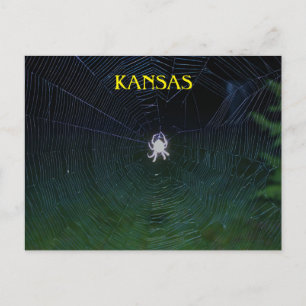 Orb Weaver bij nacht Briefkaart