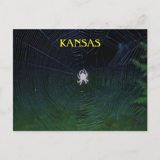 Orb Weaver bij nacht Briefkaart (Voorkant)