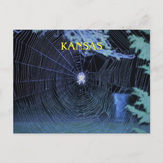 Orb Weaver bij nacht Briefkaart (Voorkant)