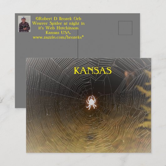 Orb Weaver bij nacht Briefkaart (Voorkant / Achterkant)
