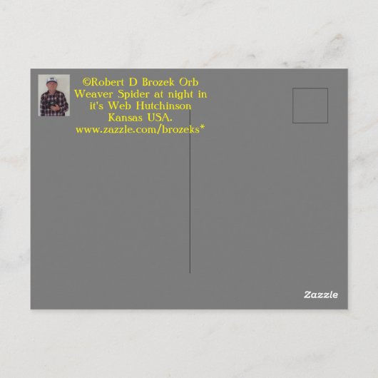 Orb Weaver bij nacht Briefkaart (Achterkant)