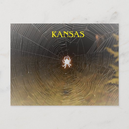 Orb Weaver bij nacht Briefkaart (Voorkant)