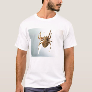 Orb Weaver-Neoscona kruisbeeld-overzicht-door KLM T-shirt