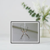 Orb Weaver Spider Briefkaart (Staand voorkant)