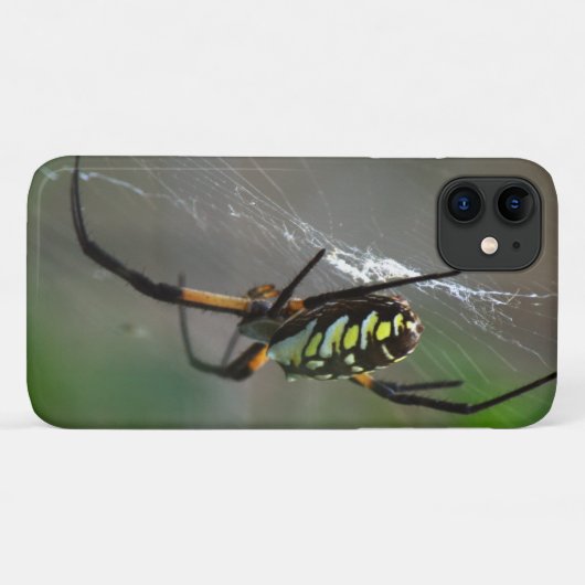 Orb Weaver Spider Close-up telefoonhoesje Case-Mate iPhone Case (Achterkant (horizontaal))