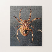 Orb Weaver Spider Legpuzzel (Verticaal)