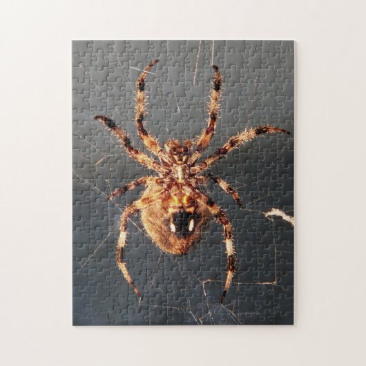 Orb Weaver Spider Legpuzzel (Verticaal)