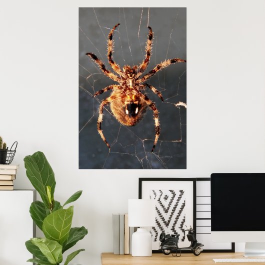 Orb Weaver Spider Poster (Thuiskantoor)