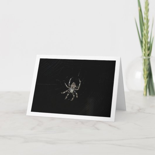 Orb-wever Kaart (Voorkant)