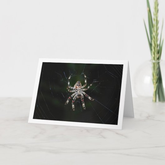 Orb-wever Kaart (Voorkant)