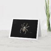 Orb-wever Kaart (Voorkant)