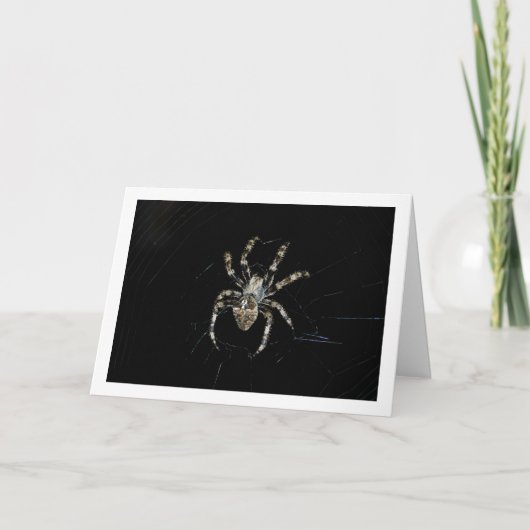 Orb-wever Kaart (Voorkant)