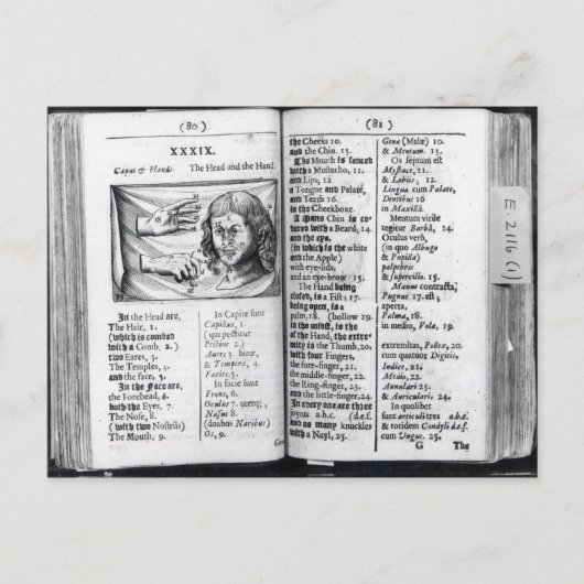 Orbis Sensualium Pictus Briefkaart (Voorkant)