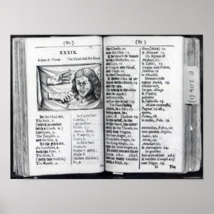 Orbis Sensualium Pictus Poster