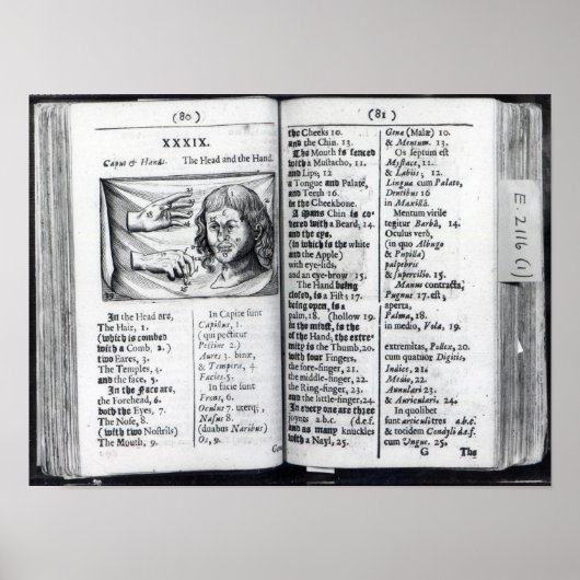 Orbis Sensualium Pictus Poster (Voorkant)