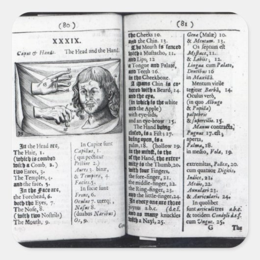 Orbis Sensualium Pictus Vierkante Sticker (Voorkant)