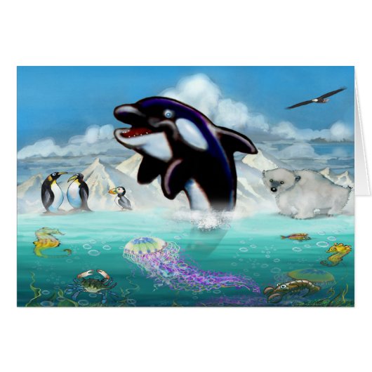 Orca (Voorkant Horizontaal)