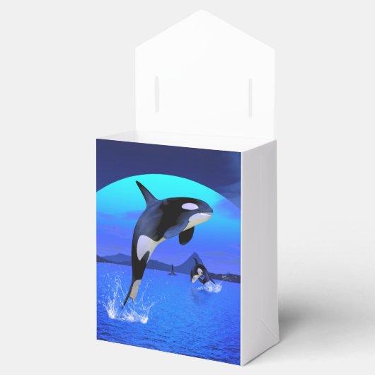 Orca 1 bedankdoosjes (Geopend)