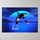 Orca 1 poster (Voorkant)