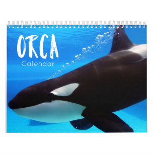 orca 2021 kalender grappige en leuke orka ' s