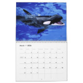 orca 2023 kalender grappige en schattige orka's (Mar 2026)