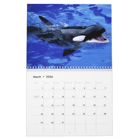 orca 2023 kalender grappige en schattige orka's (Mar 2026)