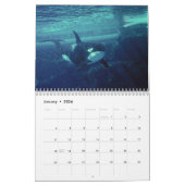 orca 2023 kalender grappige en schattige orka's (Jan 2026)