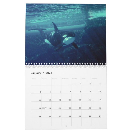orca 2023 kalender grappige en schattige orka's (Jan 2026)