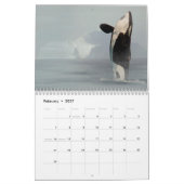 orca 2023 kalender grappige en schattige orka's (Feb 2027)
