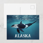 Orca Alaska Briefkaart (Voorkant / Achterkant)
