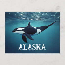 Orca Alaska Briefkaart