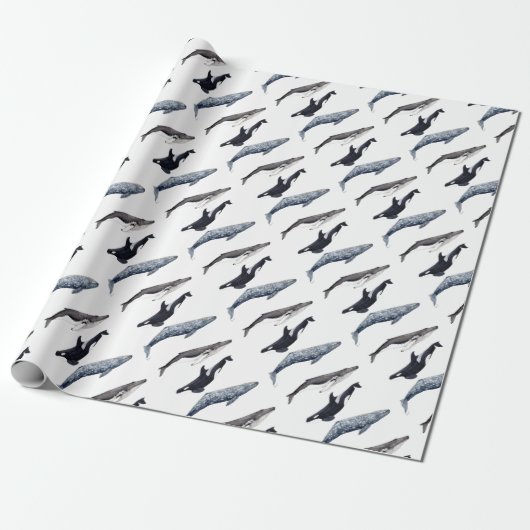Orca, ballena jorobada y ballena gris cadeaupapier (Uitgerold)