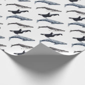 Orca, ballena jorobada y ballena gris cadeaupapier (Hoek)