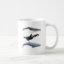 Orca, ballena jorobada y ballena gris koffiemok