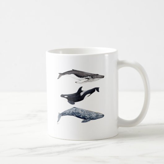 Orca, ballena jorobada y ballena gris koffiemok (Rechts)